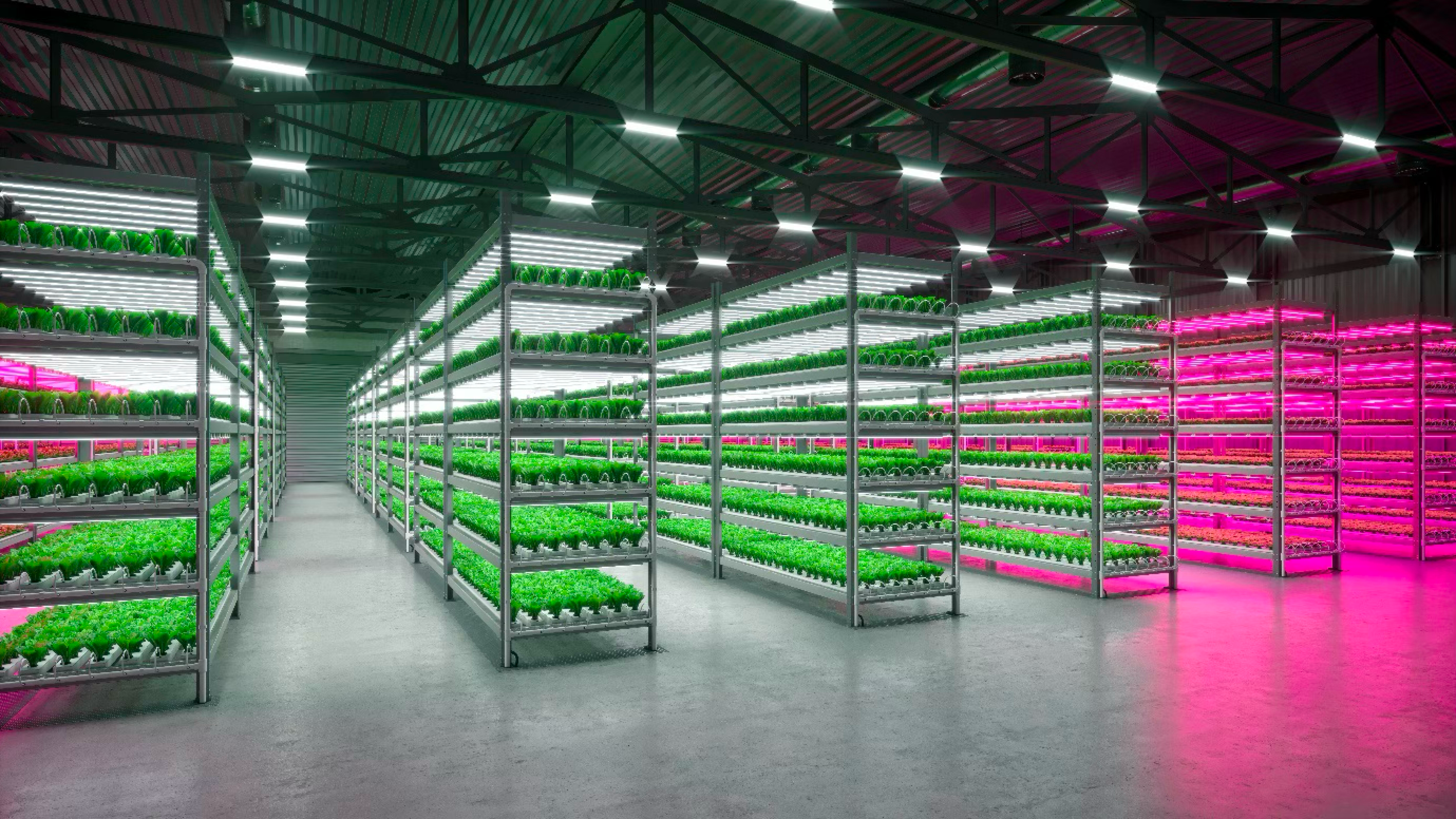 Vertical farming facility